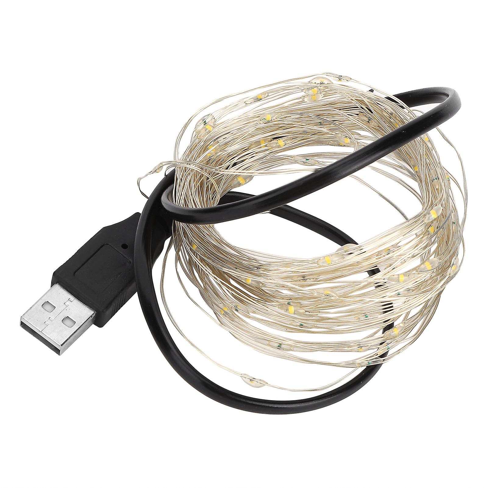 32.8ft Led Light String Copper Wire Usb Charging Decor Lamp For Halloween Home Partywhite Light