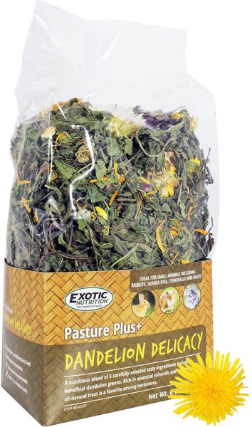 Exotic Nutrition Pasture Plus+ Dandelion Delicacy Rabbit Treats， 6-oz box