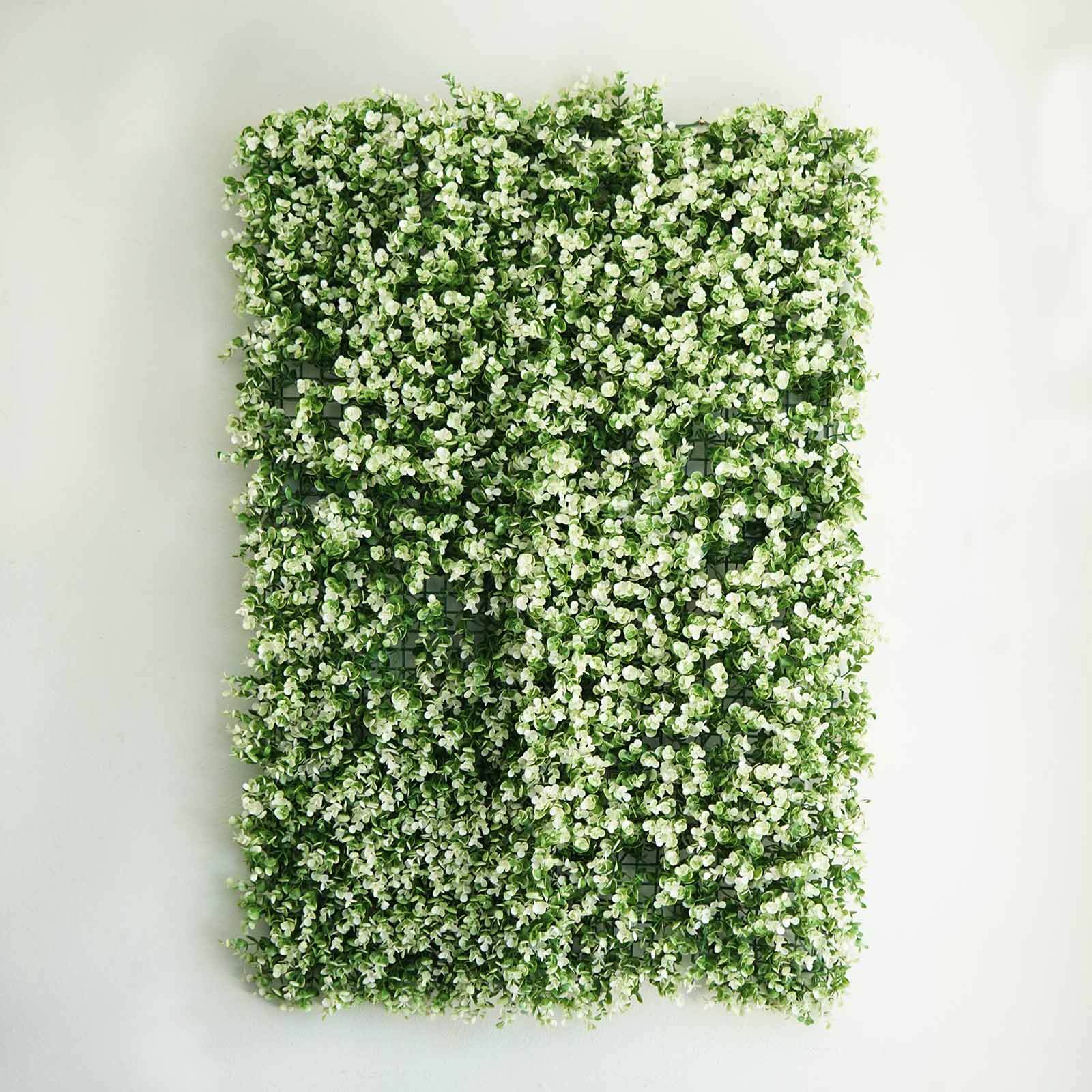 White Tip Green Boxwood Hedge Genlisea Garden Wall Backdrop Mat 4 Artificial Panels 11 Sq ft.