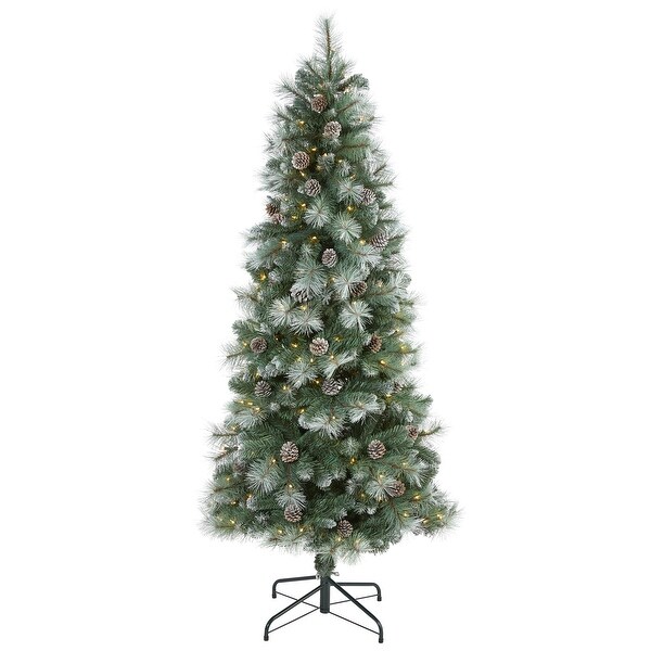 6' Frosted Tip Mountain Pine Christmas Tree with 250 Clear Lights