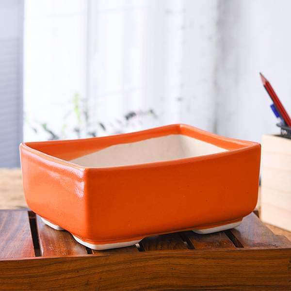 6.6 inch (17 cm) Bonsai Rectangle Ceramic Pot (Orange) (set of 2)