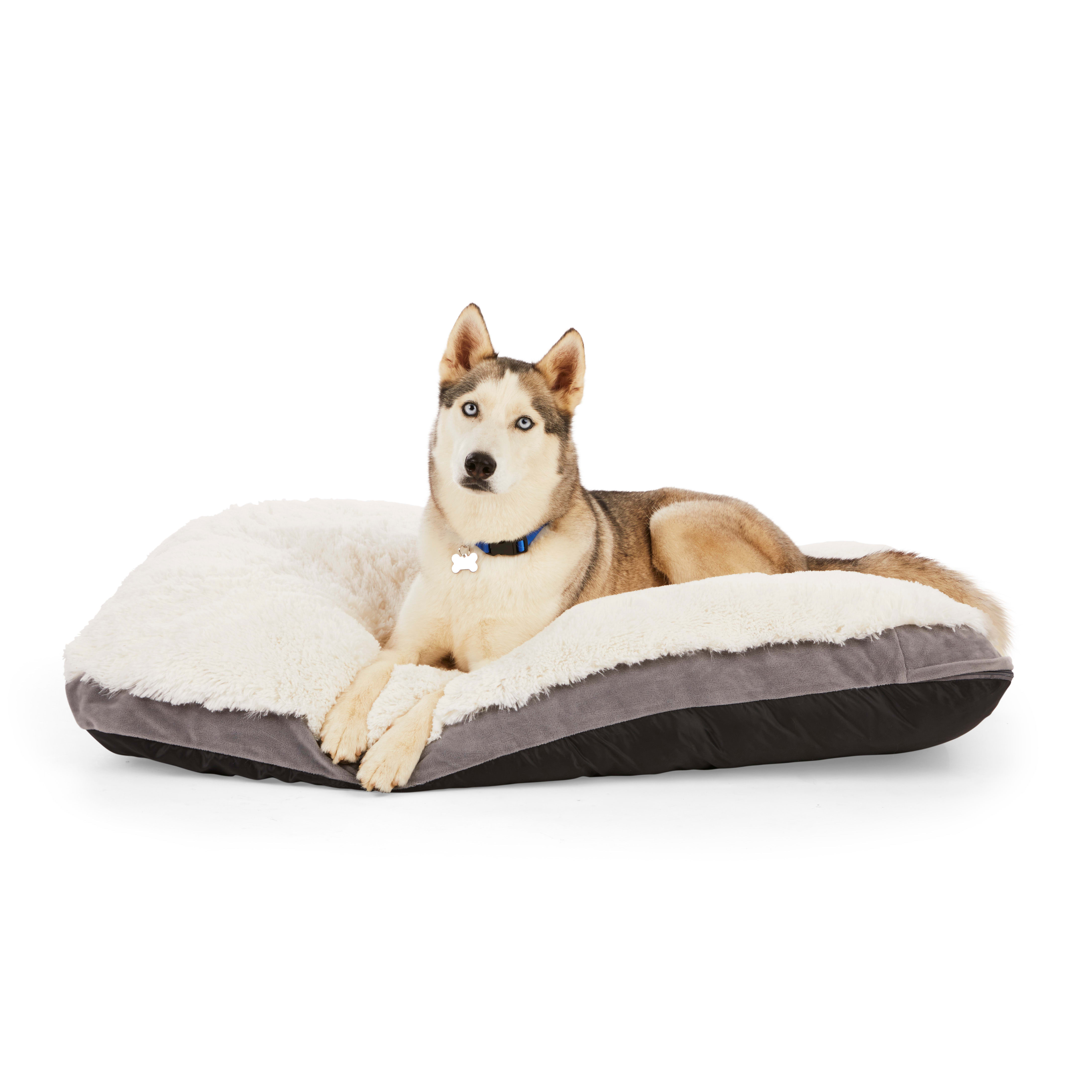 EveryYay Essentials Snooze Fest Lavender-Scented Dog Bed， 36