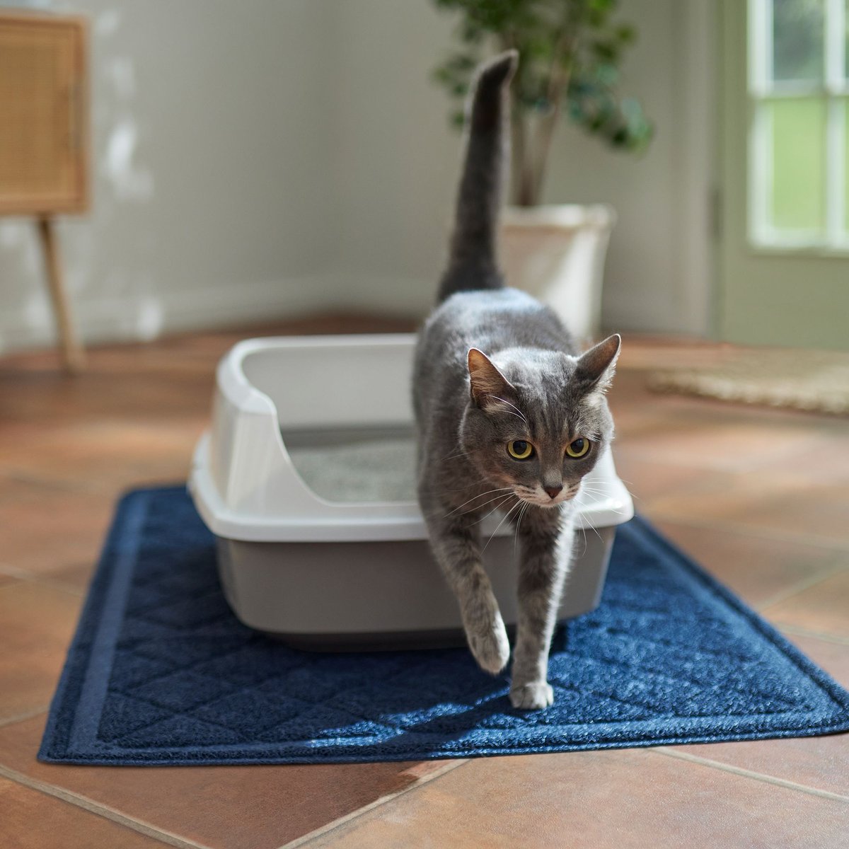 Frisco Quilted Cat Litter Mat