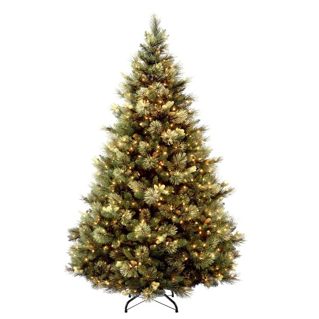 National Tree Company 6.5 Ft. Carolina Pine Tree With Clear Lights