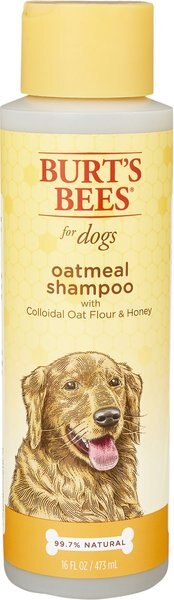 Burt's Bees Oatmeal Shampoo with Colloidal Oat Flour and Honey for Dogs