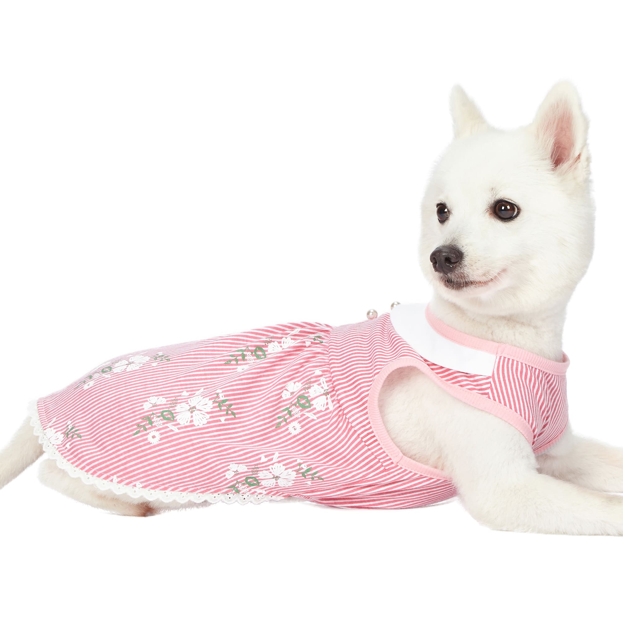 Blueberry Pet Wonderland Sleeveless Floral Dog Dress with Peter Pan Collar， XX-Small