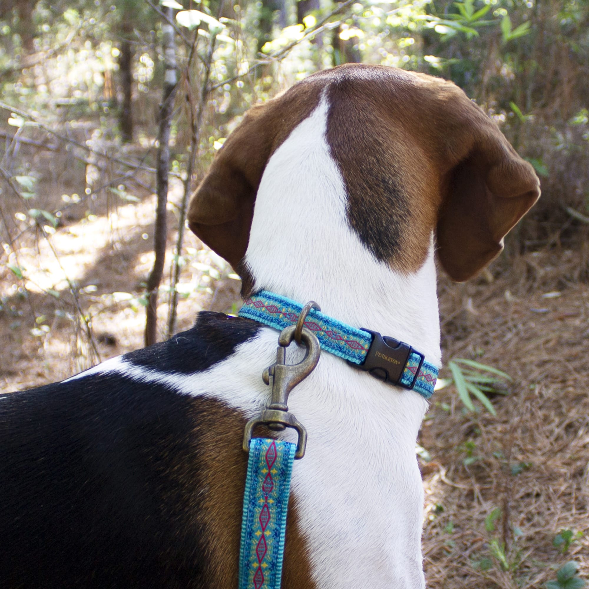 Pendleton Diamond River Turquoise Dog Collar， Small