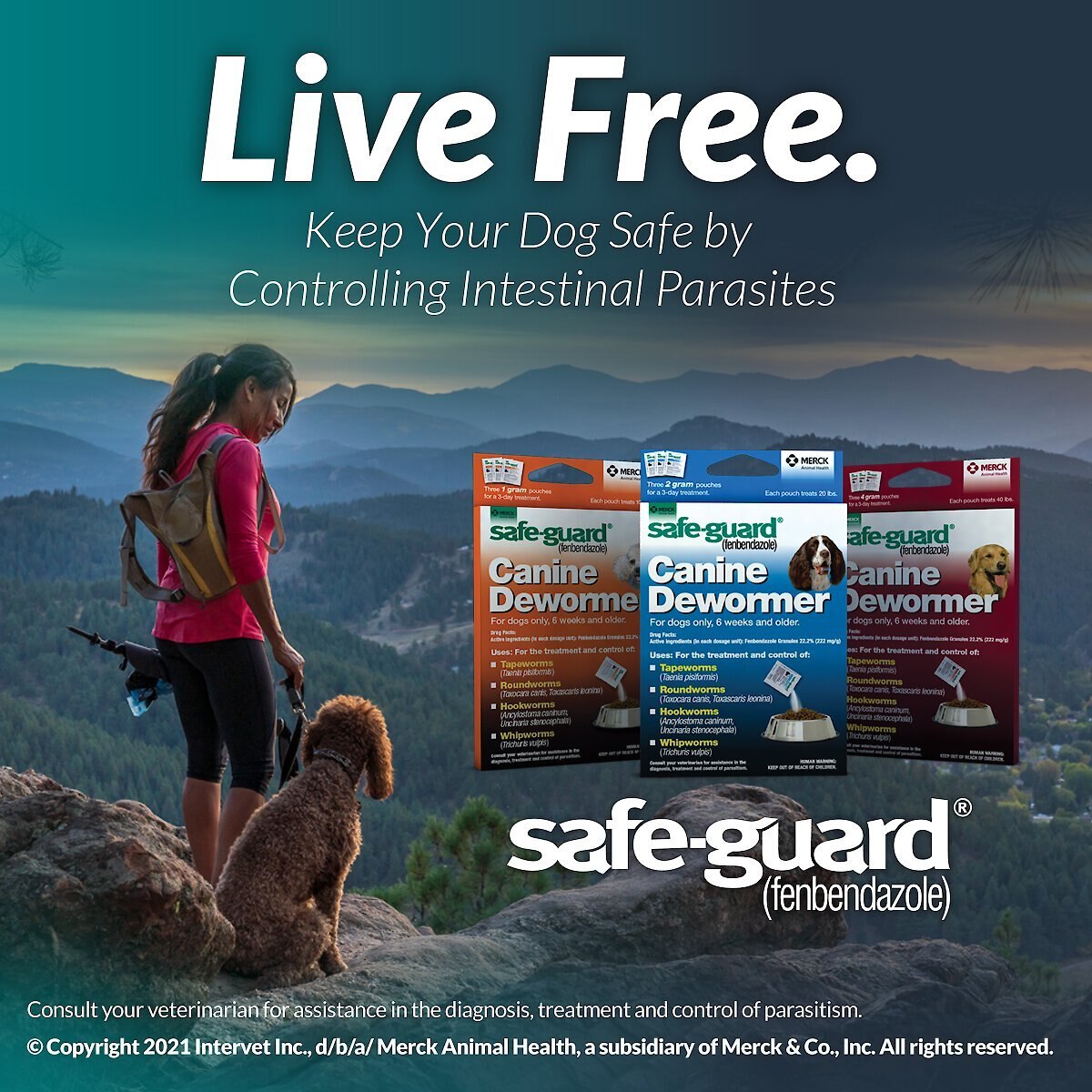 Safe-Guard Dewormer for Hookworms， Roundworms， Tapeworms and Whipworms for Large Breed Dogs