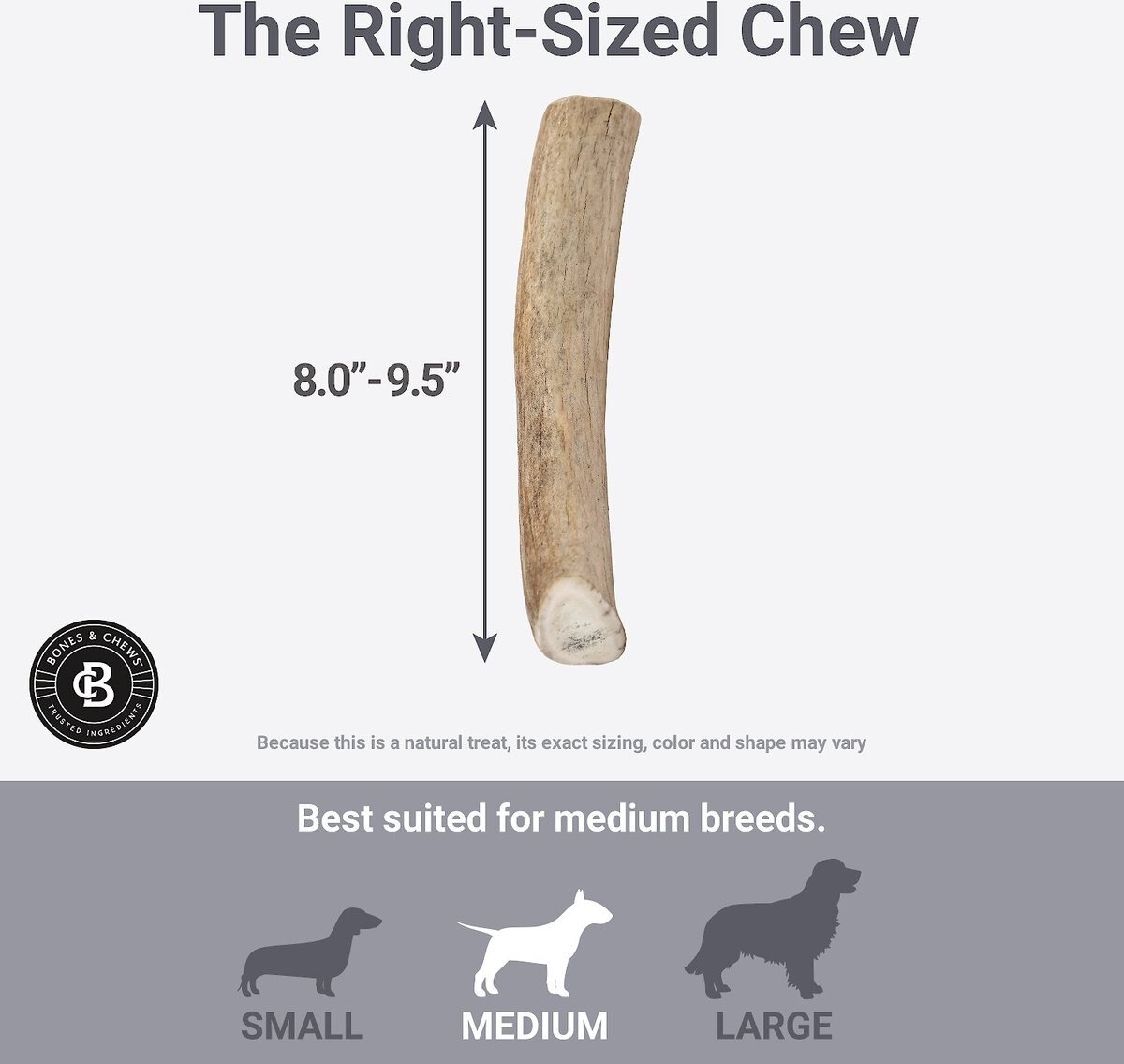 Bones and Chews Made in USA Deer Antler Dog Chew， 8.0 - 9.5-in Large