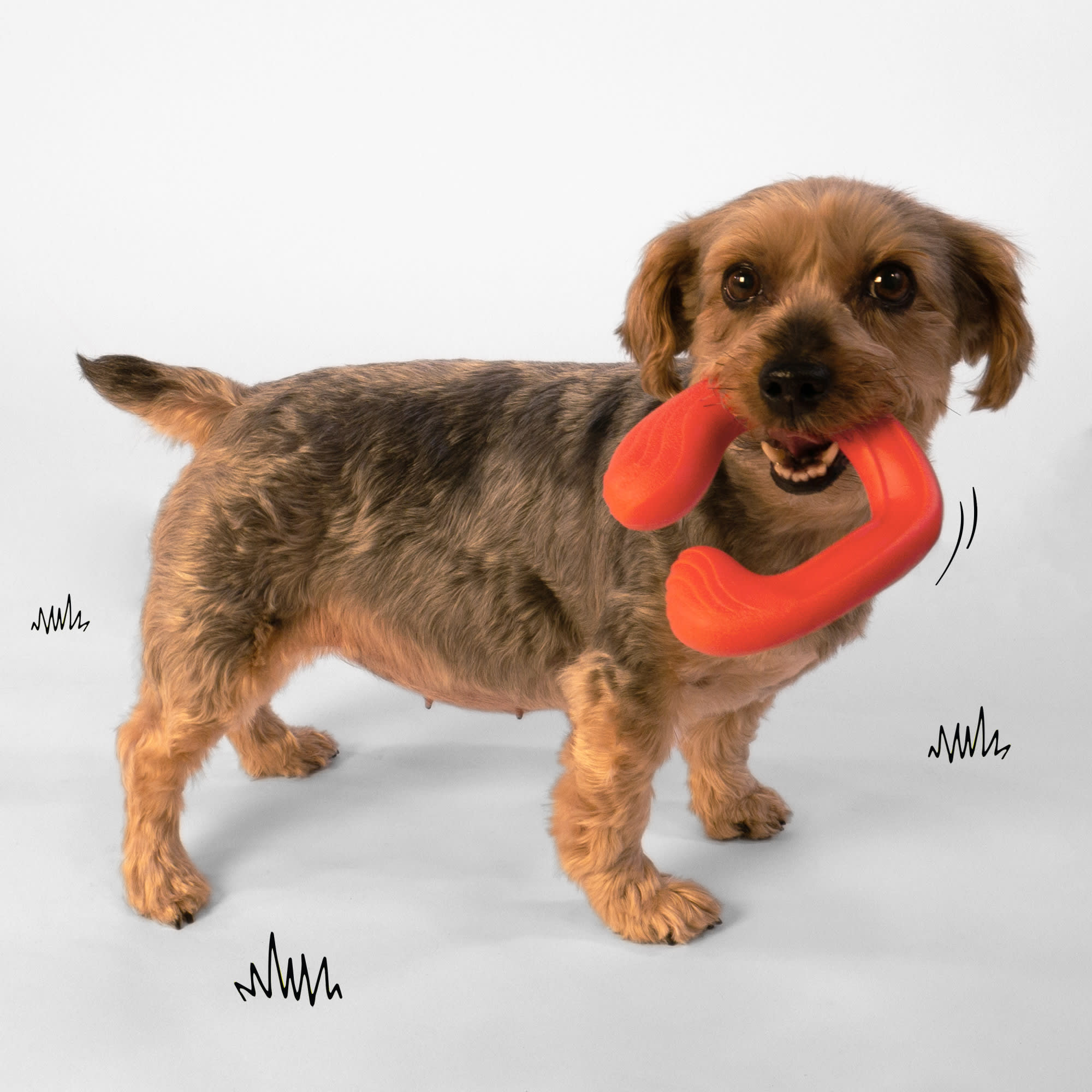 Nylabone Red Creative Play C-SHUU Interactive Dog Toys， Small