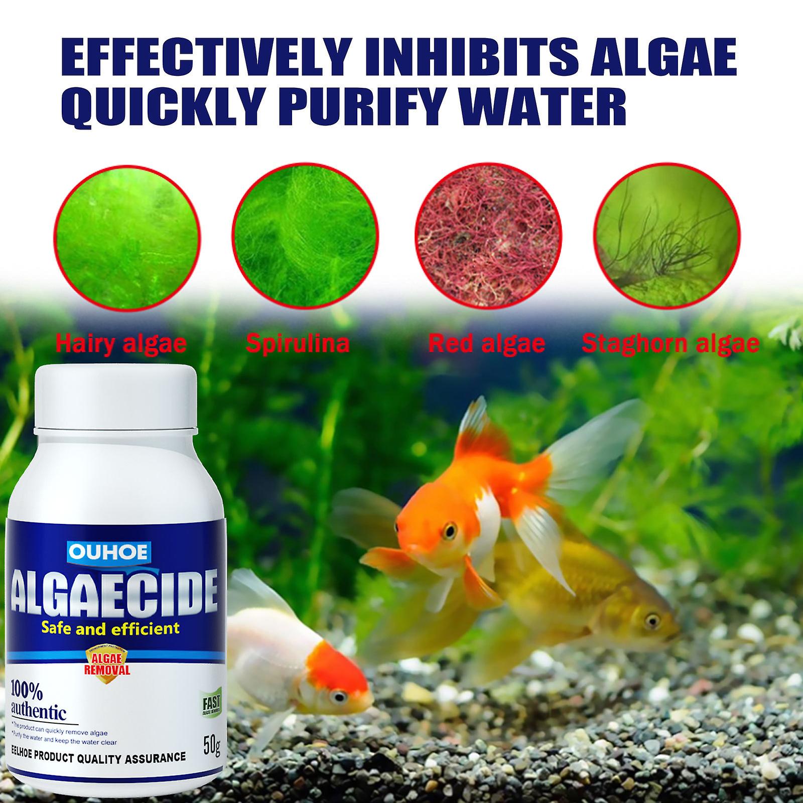 Algaecide: Liverworm Aquarium Algae Removal Potion Moss Removal Agent Fish Tank Algae Removal Agent Green Water