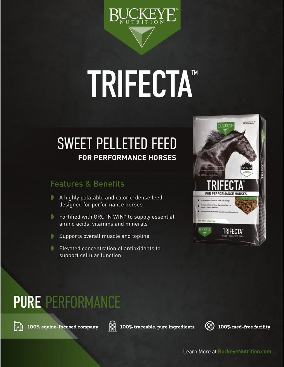 Buckeye Nutrition Trifecta Performance Sweet Horse Feed