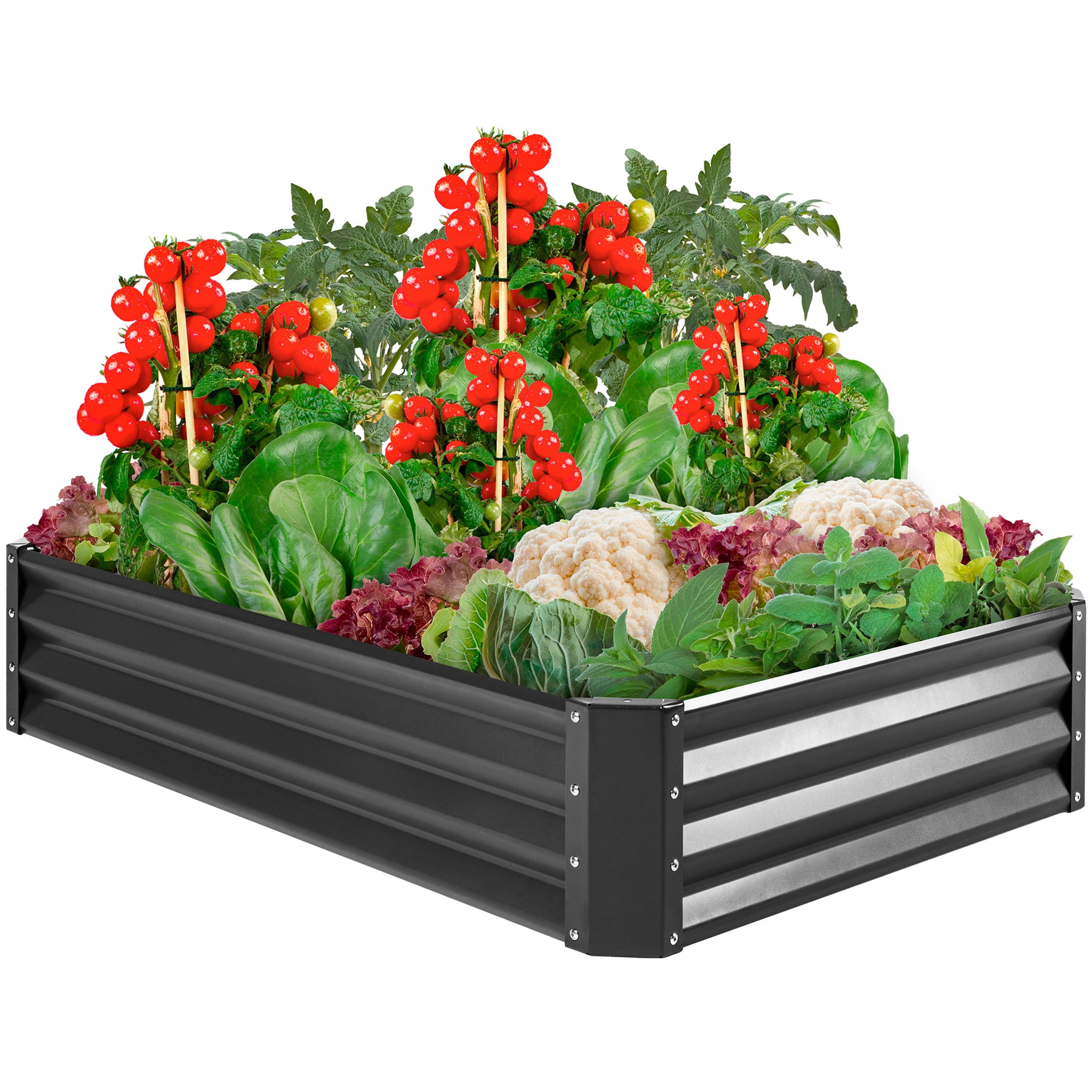 Best Choice Products 6x3x1ft Outdoor Metal Raised Garden Bed for Vegetables, Flowers, Herbs, Plants - Dark Gray