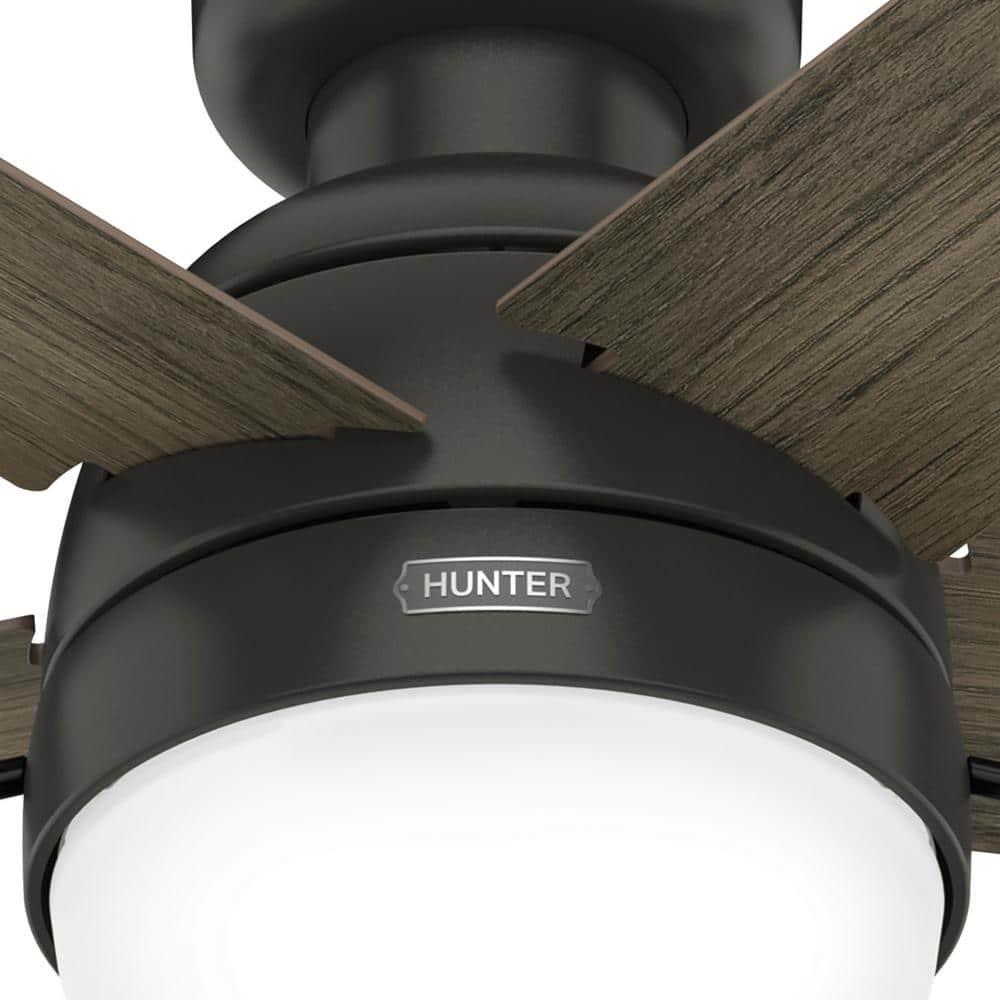 Hunter Avenue 52 in Indoor Noble Bronze Ceiling Fan With Light Kit