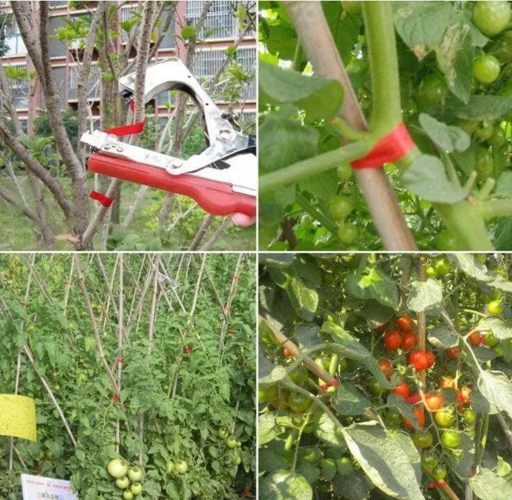 Garden Vine Plant Tying Machine Tapener Plant Tying Fruit Tapetool Binding Strapping Stem Branche Hand Tying Device Pruning Tool