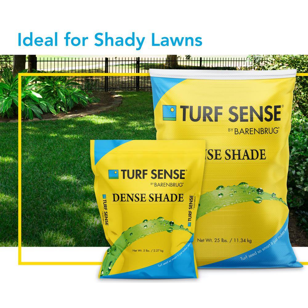 Barenbrug Turf Sense 5 lbs. Dense Shade Mix Grass Seed 25621