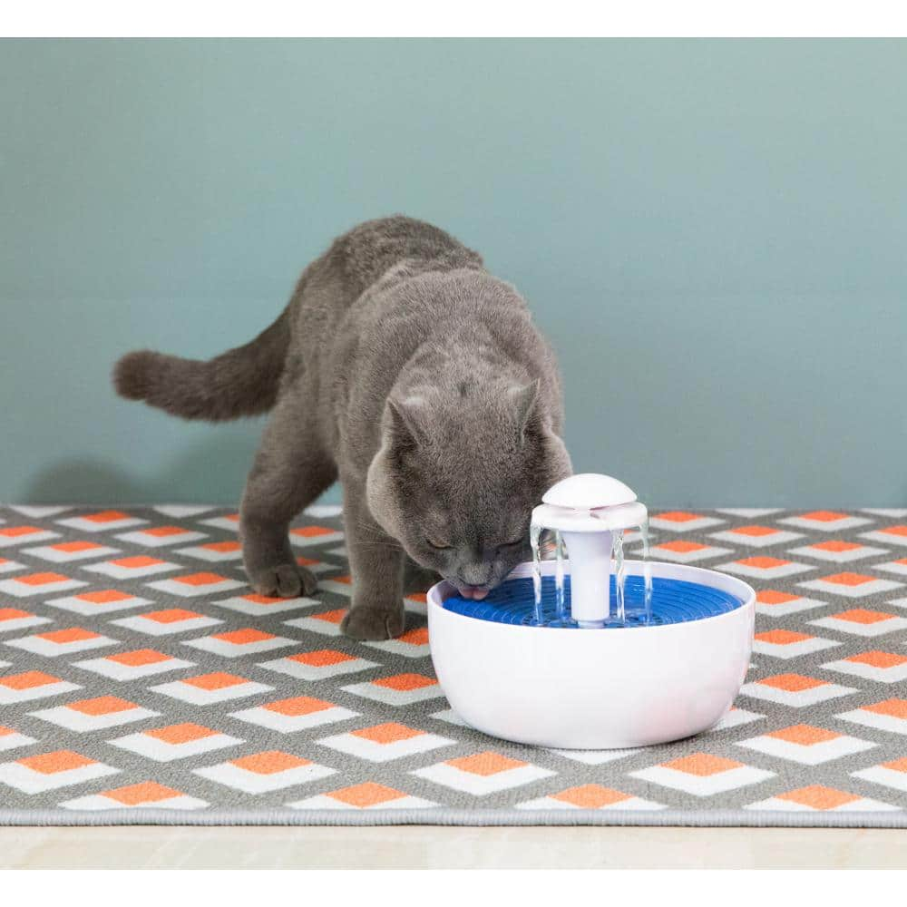 Pet Automatic Drinking Water Fountain for Cats, Dogs and Birds with Carbon Filter, 60 oz. Water Capacity QI003666