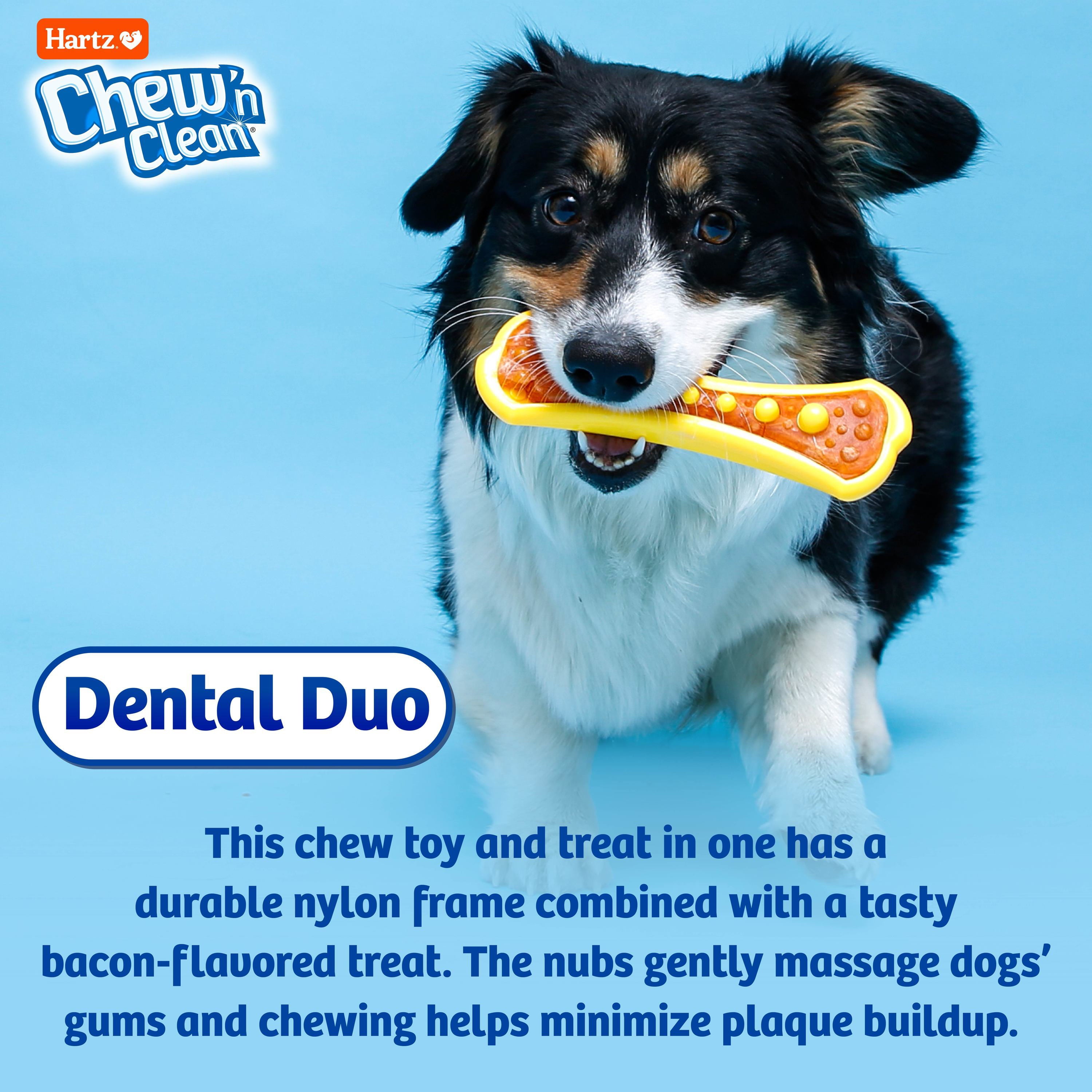 Hartz Chew 'n Clean Medium Dental Duo Dog Chew Toy and Bacon Flavored Treat in One， 3 Pack