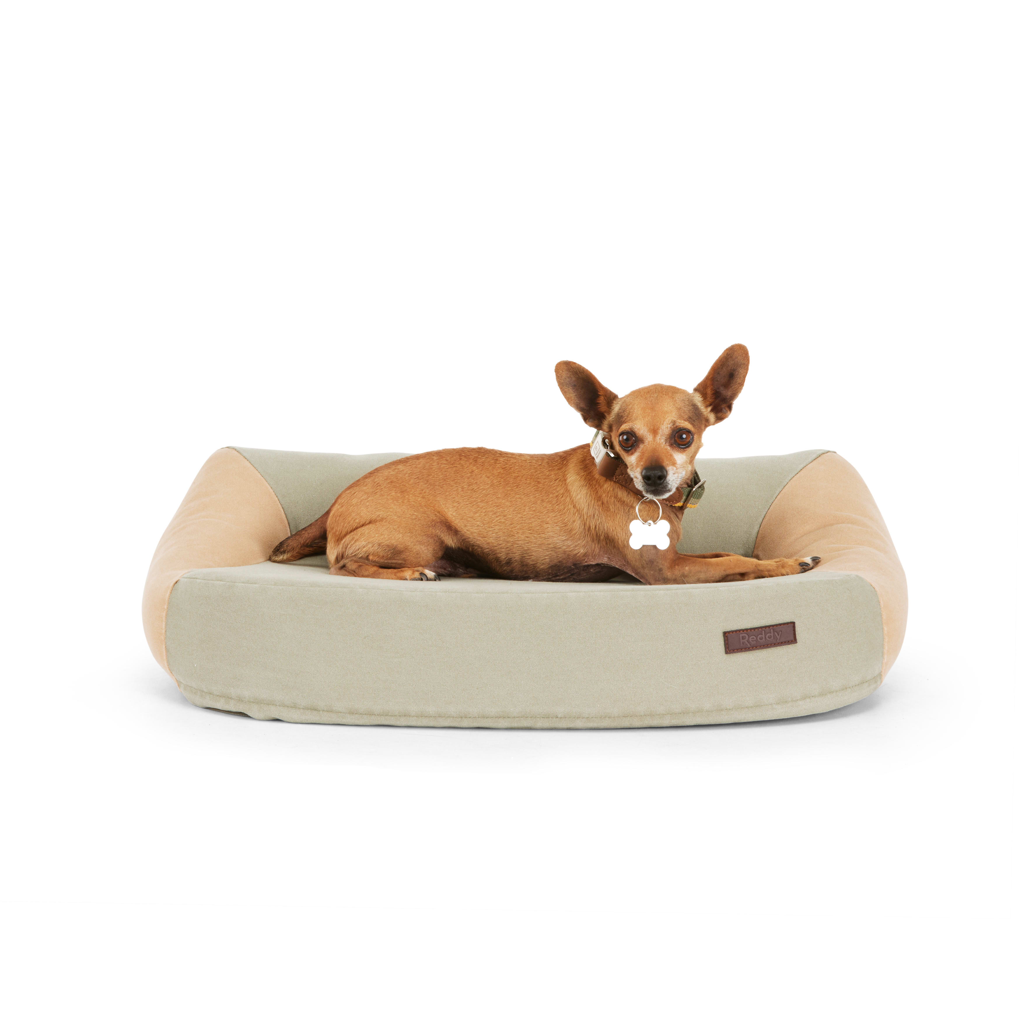 Reddy Olive and Tan Colorblock Dog Bed， 26