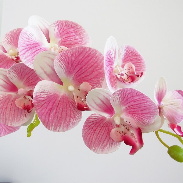 Set of 2 Natural Touch Artificial Phalaenopsis Orchid Flower Stem Tropical Spray 38.5in