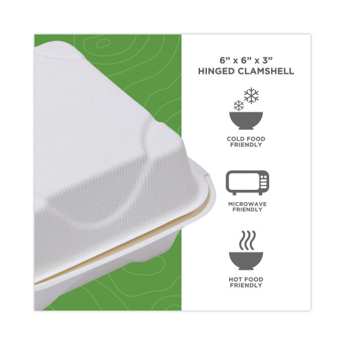 Eco-Products Renewable and Compostable Sugarcane Clamshells， 6 x 6 x 3， White， 50/Pack， 10 Packs/Carton (EPHC6)