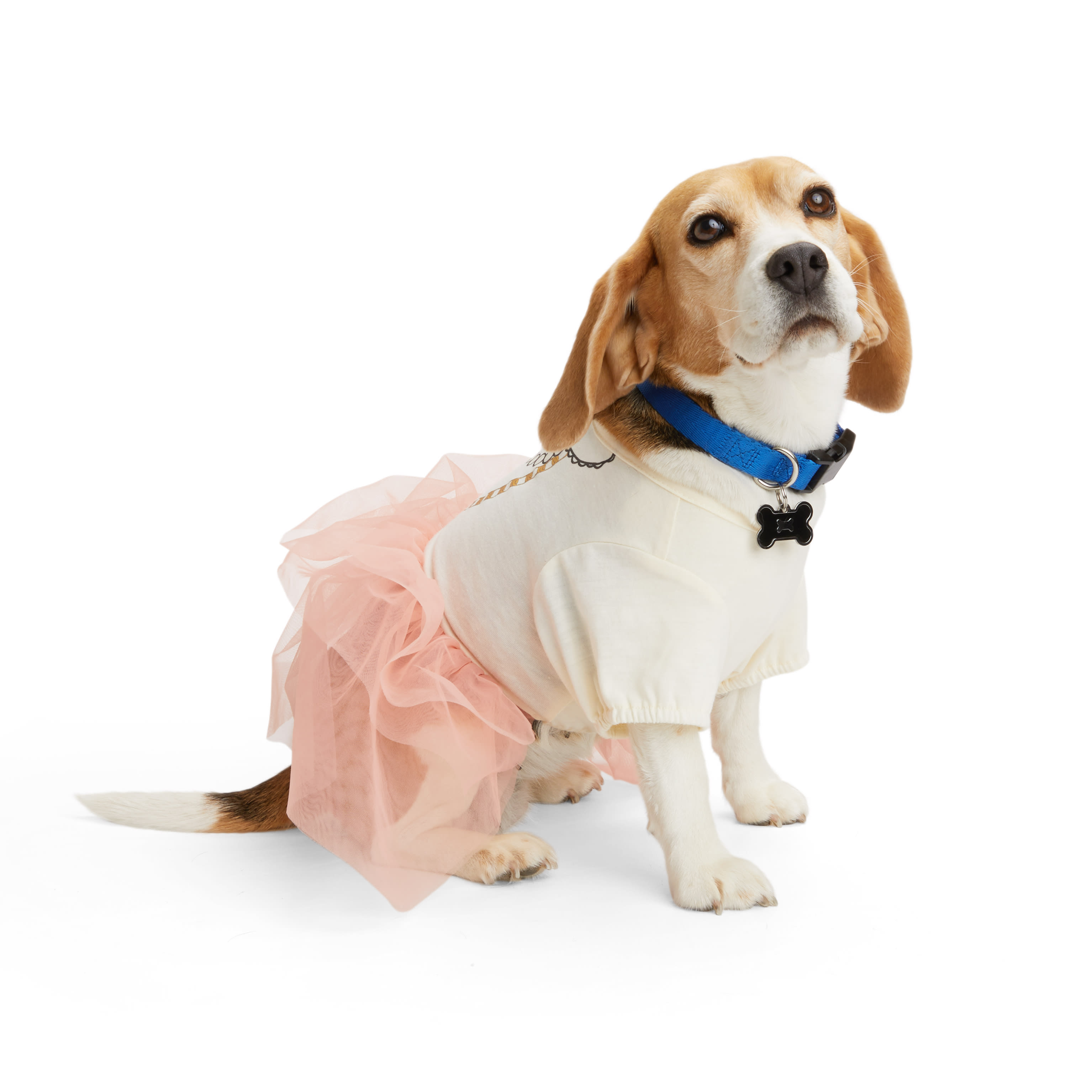 YOULY Tulle Tiered Dog Dress， XX-Small