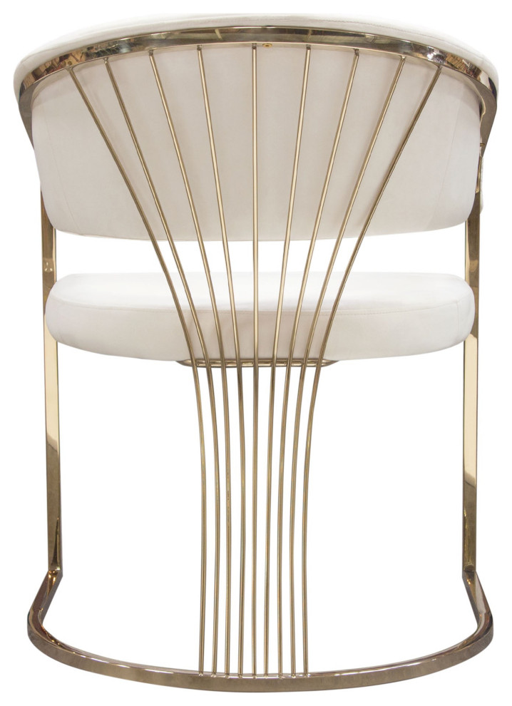 Solstice Dining Chair  Cream Velvet   Contemporary   Dining Chairs   by AMOC  Houzz