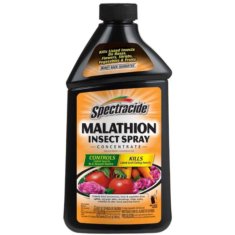 Spectracide Malathion 32 fl oz Insect Spray Concentrate for Gardens HG-30900-5