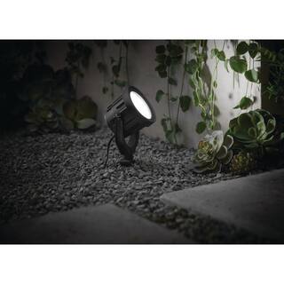 Hampton Bay Low Voltage Black LED Landscape Flood Light Powered by Hubspace L08157