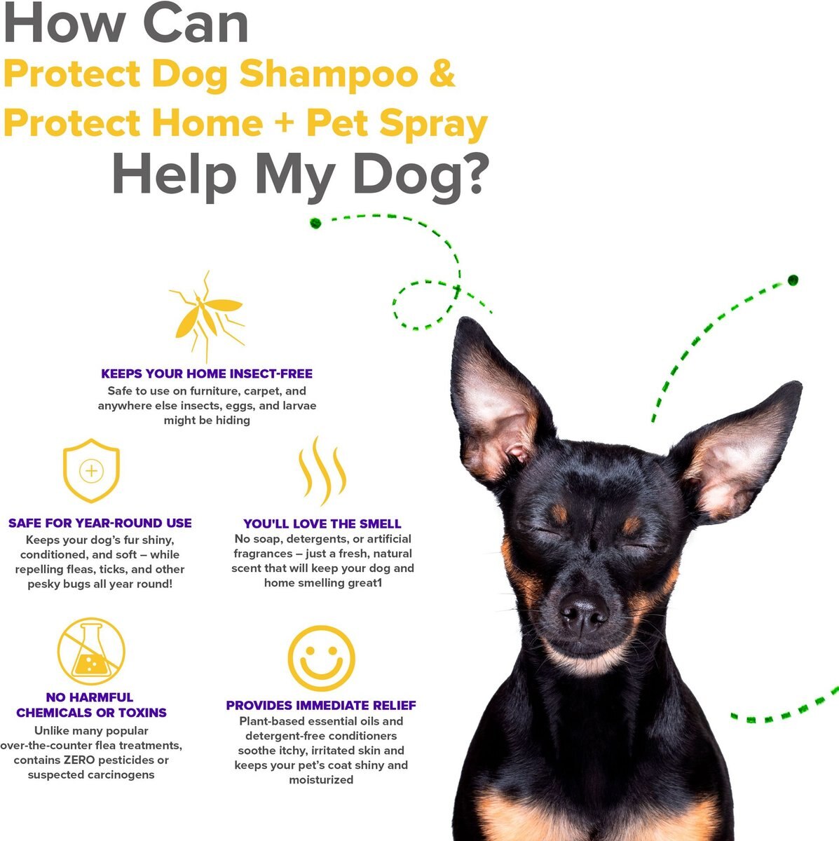 VetSmart Formulas Protect Dog Shampoo， 8-oz bottle