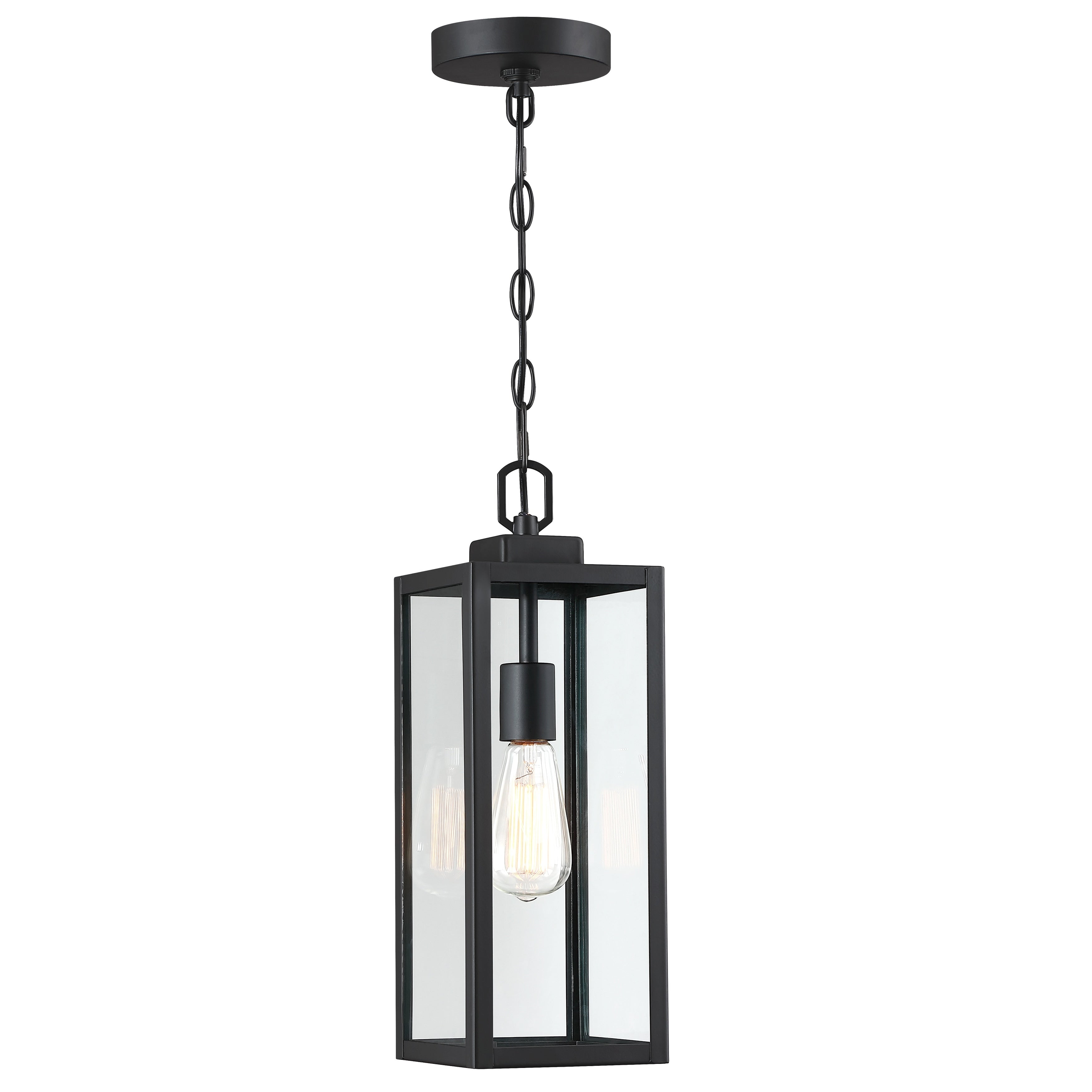 Pia Ricco 17'' H Outdoor Hanging Lantern