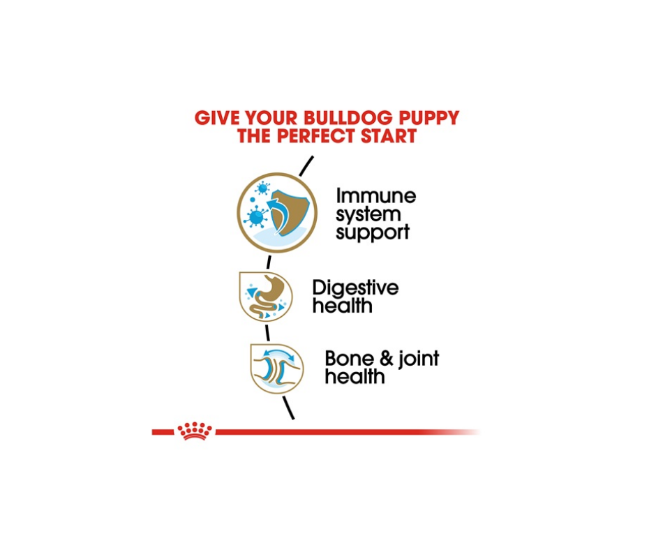 Royal Canin - Bulldog Puppy Dry Dog Food