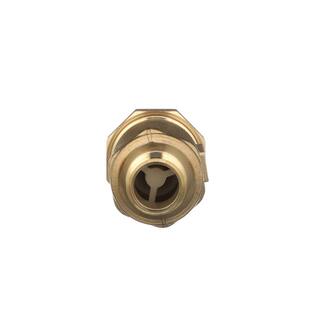 Zurn 1 in. x 34 in. Female Dual Check Valve 1UFMX34M-700XL