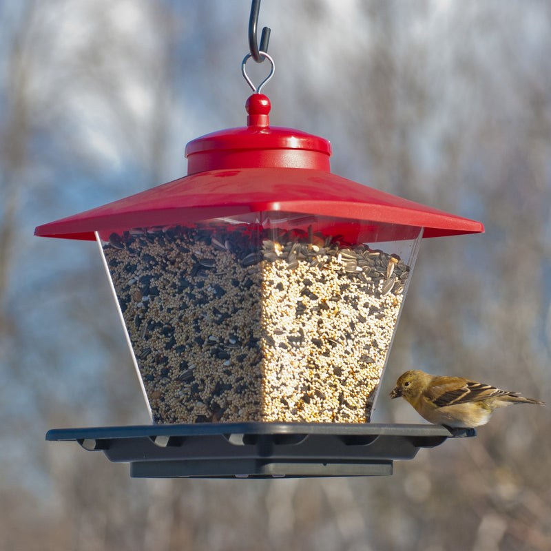 CAFE BIRD FEEDER