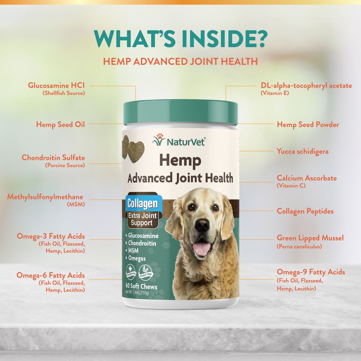 NaturVet Hemp Advanced Joint Health Glucosamine， Chondroitin and MSM Plus Collagen， Extra Joint Support Dog Supplement