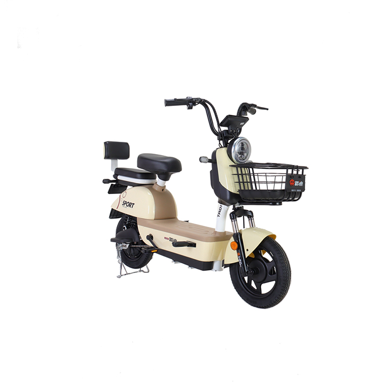 High Quality Exquisite Durable Motor Full Suspension Sport Bike Electric Cycle