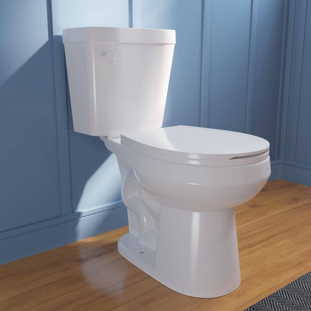 DEERVALLEY Single flush 10 in. Rough-In 2-Piece Round 1.6 GPF Toilet Map Flush 1000g Soft Closed Seat Included DV-2F0077