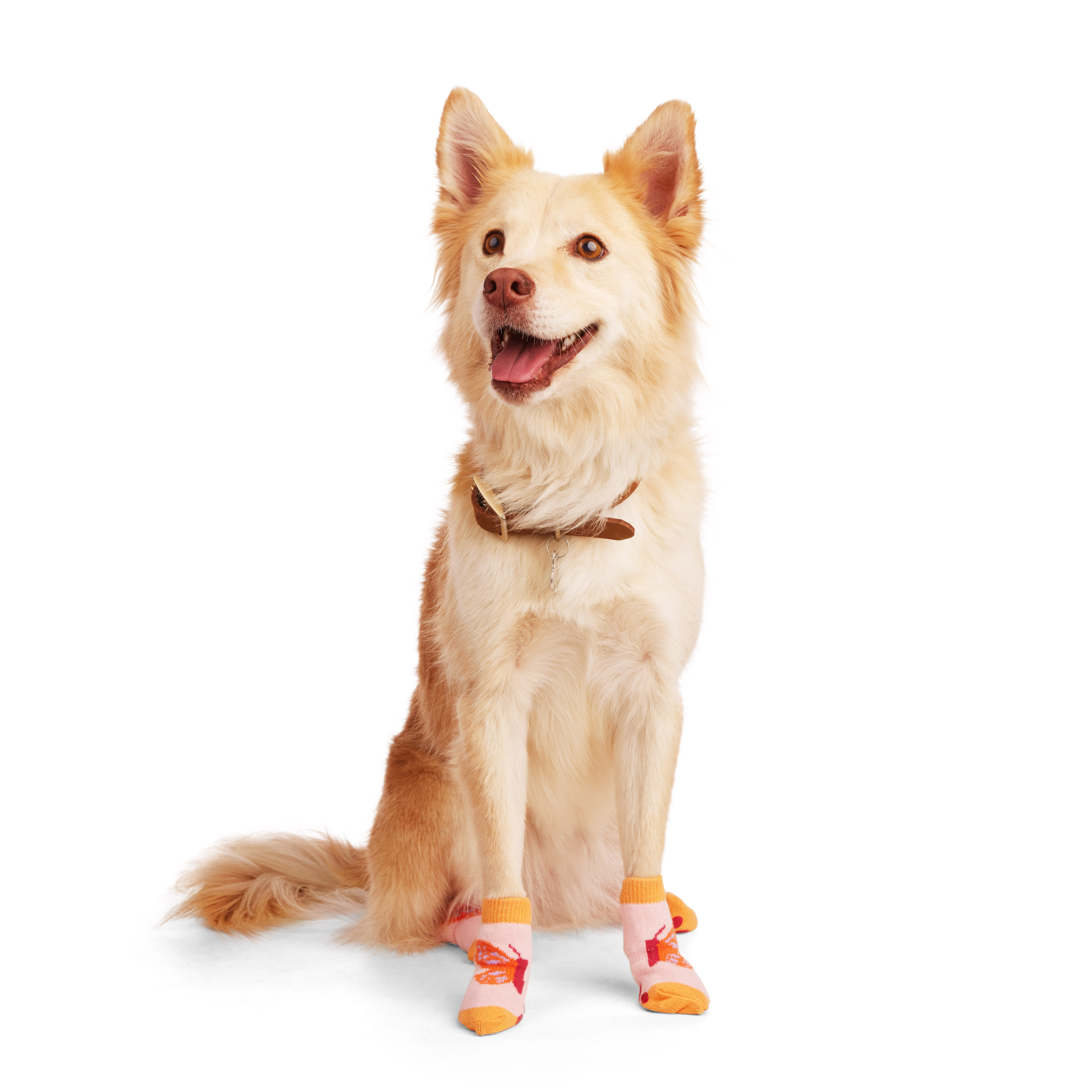 YOULY Butterfly Stripe Dog Sock， Small