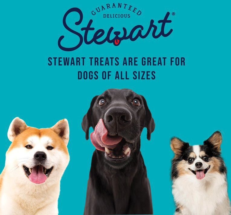 Stewart Zen Beef and Pumpkin Recipe Grain-Free Freeze Dried Dog Treat