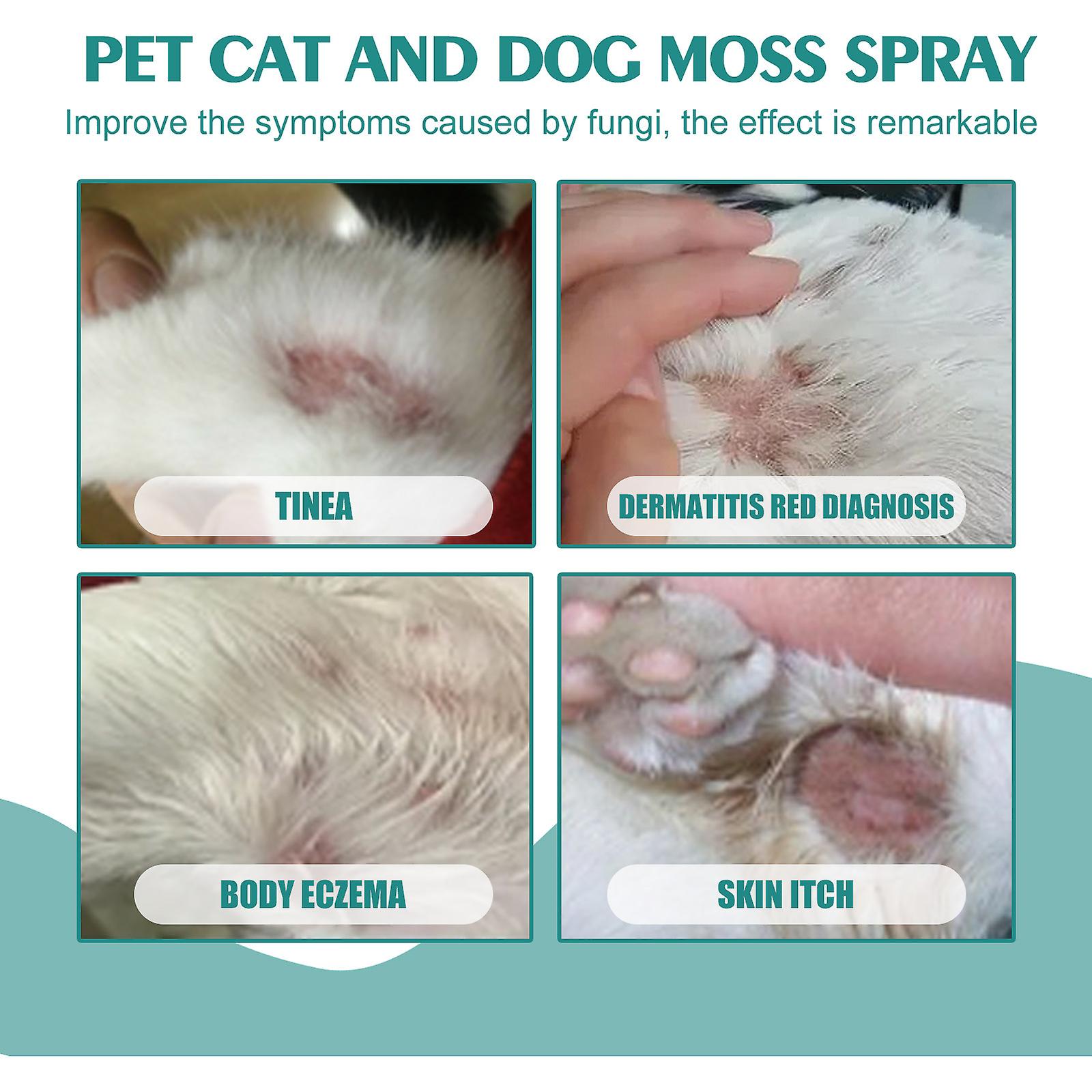 Pet Cat And Dog Moss Spray Skin Moss To Remove Mites To Relieve Pet Cleaning Care Anti-itch Spray