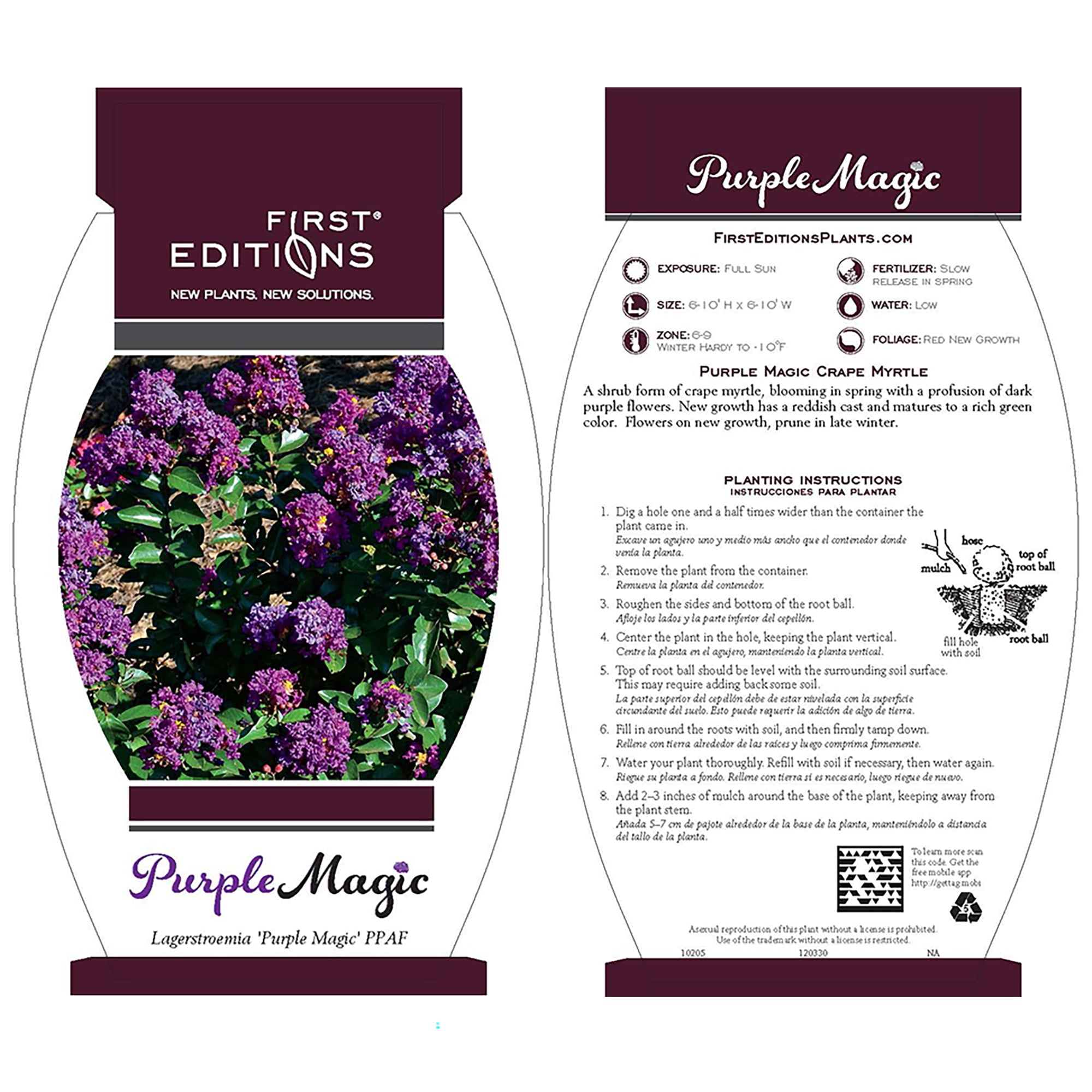 First Editions Purple Magic Crape Myrtle Live Shrub (3 Gallon)