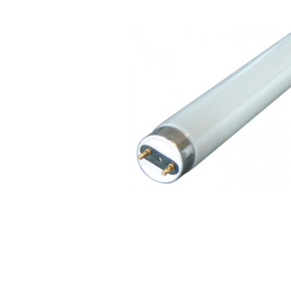 Eveready 2ft Triphosphor Tube 840