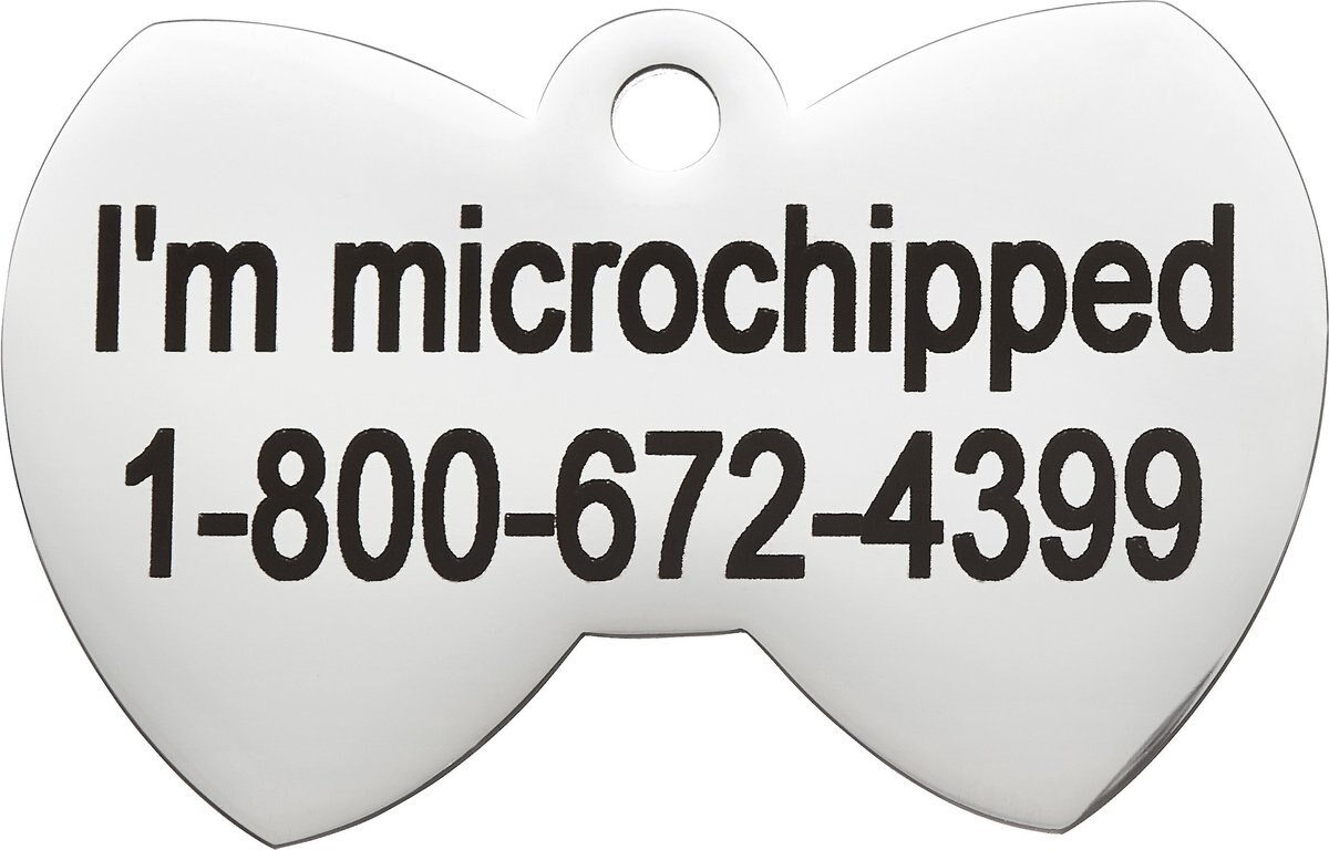 Frisco Stainless Steel Personalized Dog and Cat ID Tag， Bow Tie