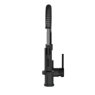 PRIVATE BRAND UNBRANDED Cartway Single-Handle Spring Pull-Down Sprayer Kitchen Faucet in Matte Black D005O