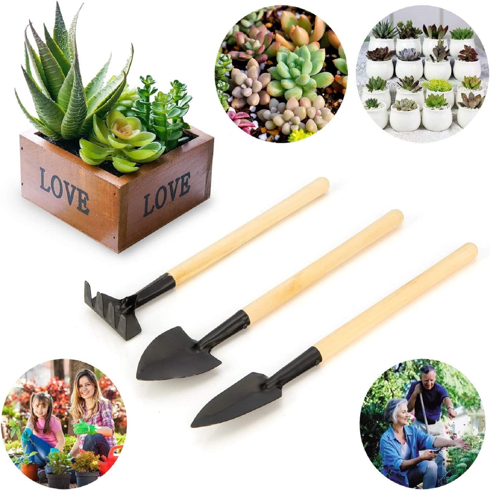 3pcs Succulent Tools Set, EEEkit Mini Garden Tool Set, Heavy Duty Gardening Kit, Transplanting Tools Set, Succulent Care kit, Iron Hand Shovel, Rake and Spade for Succulent Miniature Gardening Plant