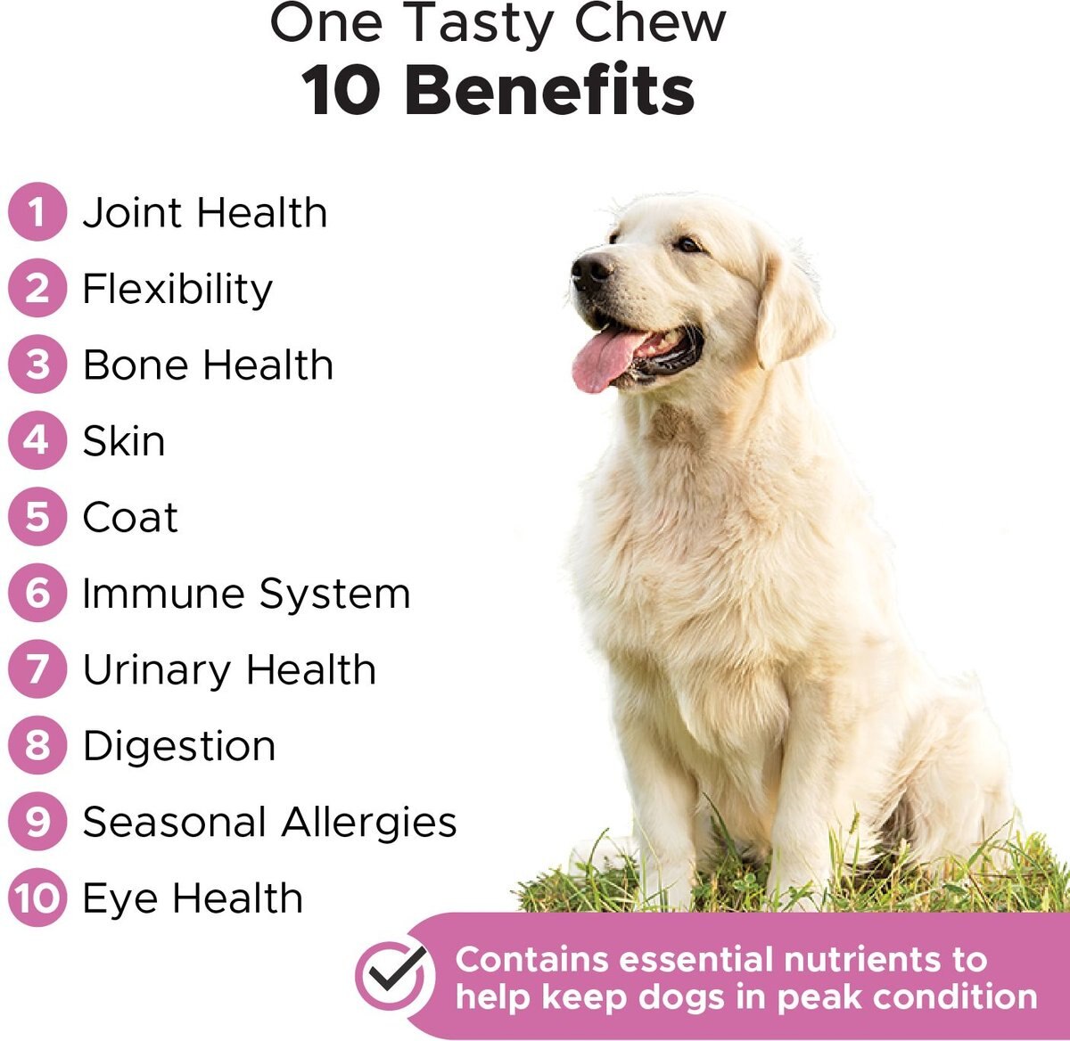 PetHonesty Multivitamin 10-in-1 Peanut Butter Flavored Soft Chews Multivitamin for Dogs