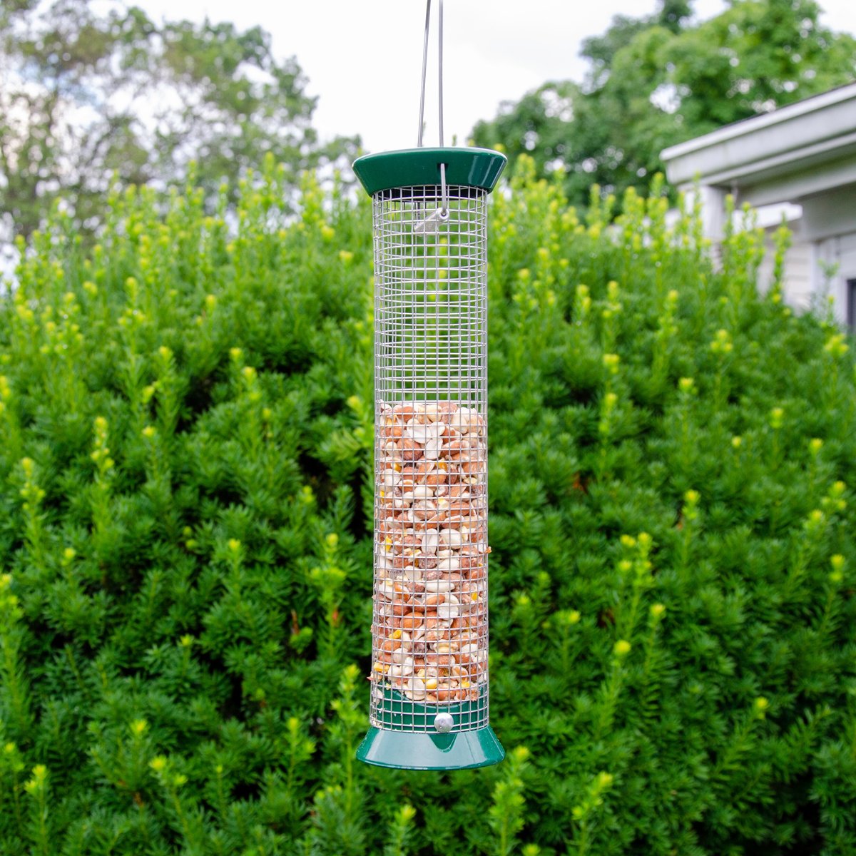 Lyric Woodpecker No Waste Mix Wild Bird Food