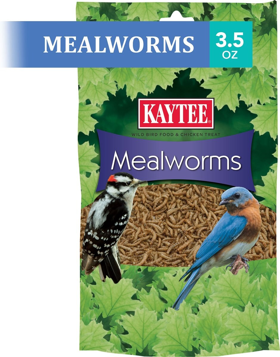 Kaytee Meal Worm Wild Bird Food