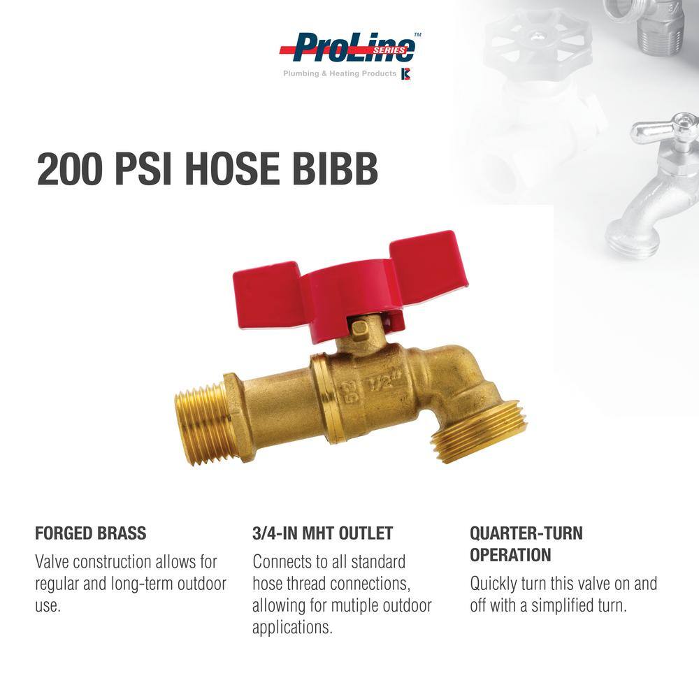 ProLine Series 12 in. x 34 in. Brass MPTSWT x MHT Quarter-Turn Hose Bibb 103-023HN