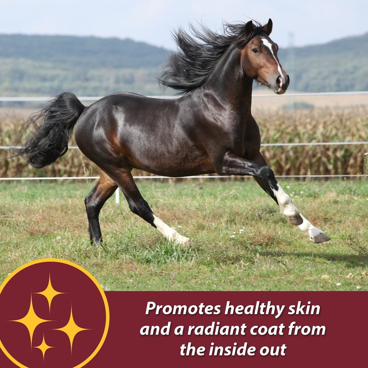 Farnam Laser Sheen Skin and Coat Horse Supplement